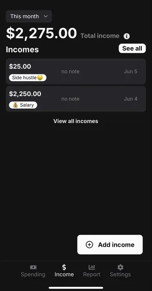 Image of income view with example income logs