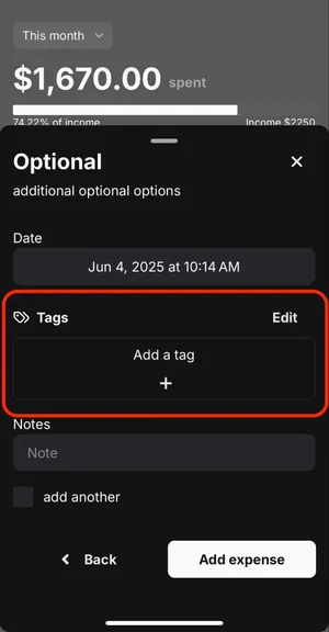 Image of red box around Tags section on Optional page