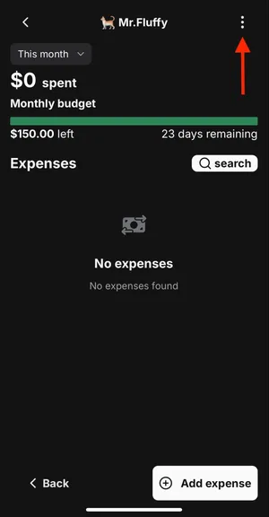 Image of category expense page and red arrow pointing to three vertical dots
