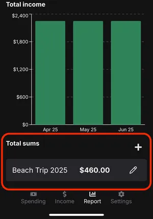 image highlighting total sum area in report page