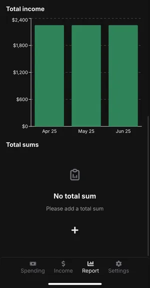 image showing report page with no total sum