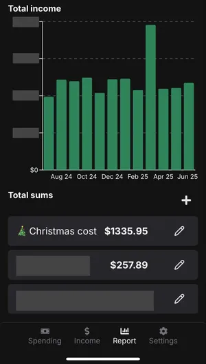 Image of Total income spanning 12 months with data and Total sums examples