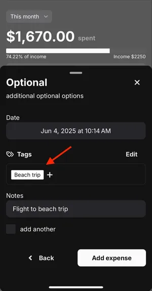 Image of "Beach Trip" tag highlight with red arrow pointing at it