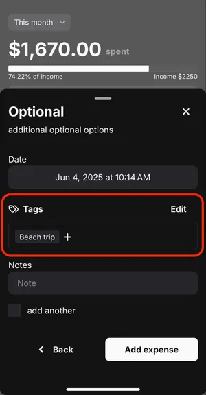 image highlighting tags section on Optional page