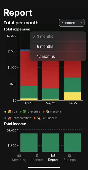 Image of Report page "Total per month" graph with filter modal showing options 3 month, 6 month, 12 month